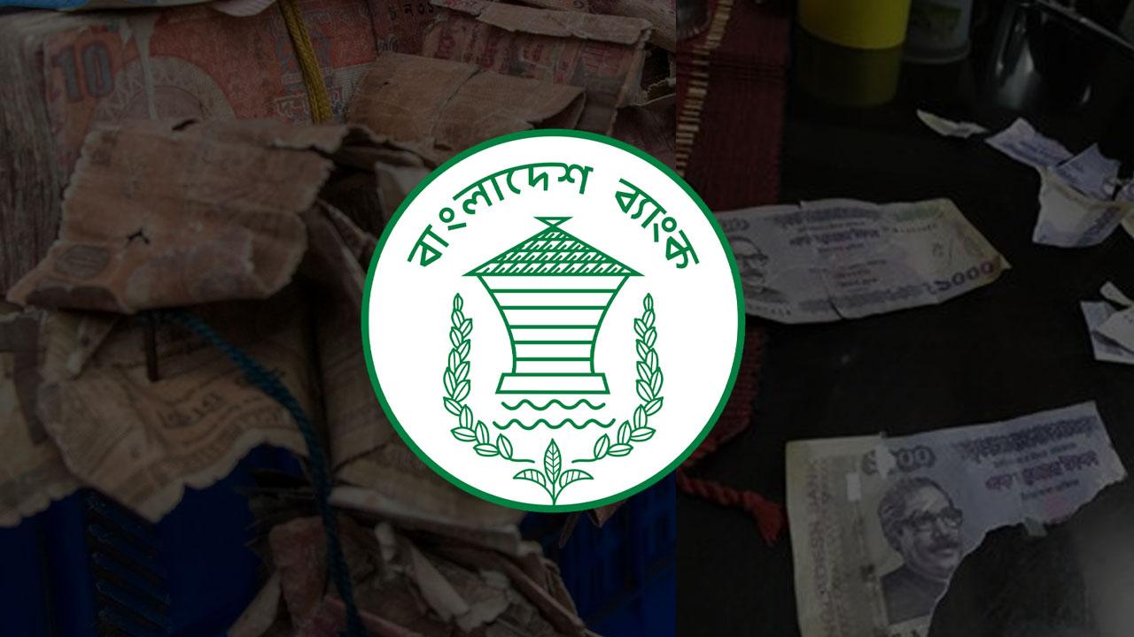 সংযুক্ত ছবি